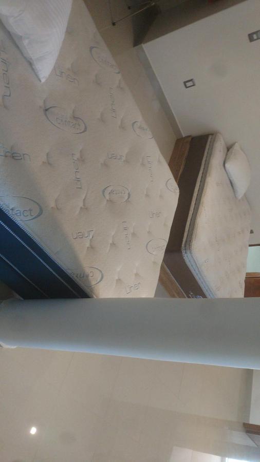 Casa Zen Otel Pachuca Dış mekan fotoğraf