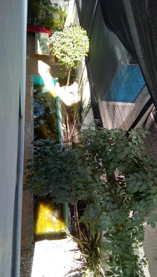 Casa Zen Otel Pachuca Dış mekan fotoğraf